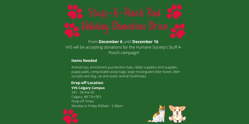 Stuff-A-Pooch Pad Campaign December 6 to December 16